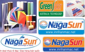 Mau decal nhua